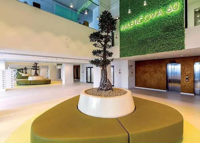 Utulny A Moderny Atelier S Terasou براتسيلافا