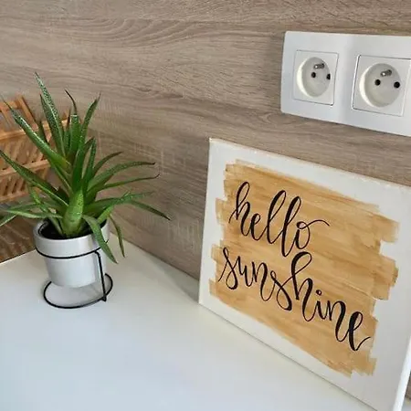 Utulny A Moderny Atelier S Terasou شقة براتسيلافا